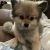 Brooklynn - @brookehaughey - TikTok