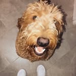 Brooke Henry - @brookehenry5144 - Instagram