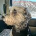 Brooke Kish - Facebook