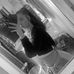 Brooke Lane - Facebook