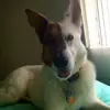 brookely - @brookely - TikTok
