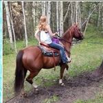 Brooke Manley - @brookes_horse - Instagram