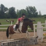 Brooke McBride - @horses_are_my_life1234567 - Instagram