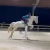 brookemeeks19 - @brookemeeks19 - TikTok
