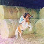 Brooke Meier - @meier_brooke4 - Instagram