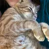 brookemesser35 - @brookemesser35 - TikTok