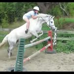 brooke summer mire burt - @brooke.profesional.ponys - Instagram
