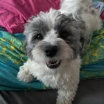 Brooke - @brooke.mockler2024 - Instagram