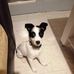 Brooke Moretti  - Facebook