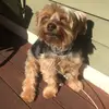 Brooke Nally - @brooke.nally - TikTok