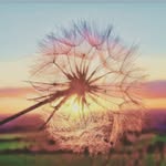 Brooke Ochs - @brooke_ochs1 - Instagram