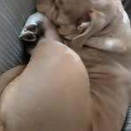 Brooke O'Donnell - Facebook