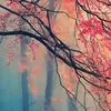 Brooke-xo_xo!!!Ogden - @brookeogden1234567890 - TikTok