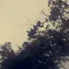 Brooke Olsen - @brooke.0lsen - TikTok