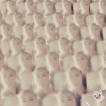 Brooke Pace - @brookepace2008 - Instagram