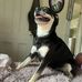 Brooke Poole - Facebook