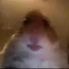 Fan page - @.brooke.potter - TikTok