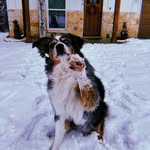 Brooke Rollins - @brooke_rollins5 - Instagram