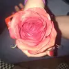 Brooke_Root - @brooke_root - TikTok