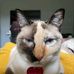 Brooke Roundy - Facebook