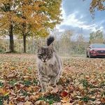 Brooke Roy Helen Roy - @brooke.8592070 - Instagram