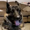 brookeschramm843 - @brookeschramm843 - TikTok