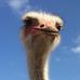 Brooke Seibert - Facebook