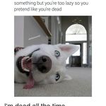 Like_Whatever123 - @brookesimms88 - Instagram