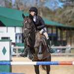 Brooke Staley - @bls.eventing - Instagram