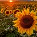 Brooke Stamm - Facebook