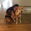 brooke_teves - @brooke_teves - TikTok