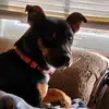 Brooke - @brookewall04 - TikTok