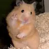 Brooke Weaver - @brookeweaverr - TikTok