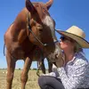 Brooke Willis - @flying_w_acres - TikTok