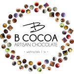 Brooke Willis Chocolatier - @bcocoaartisanchocolate - Instagram