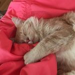 Shyanne Willis - @brooke.willis.7127 - Instagram