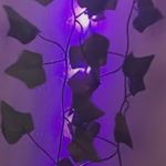 brooke - @brooklyn_hossler - Instagram