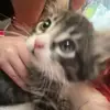 brooklyn - @brooklyn.allenn - TikTok