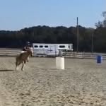 Brooklyn Allman - @brooklyn_3479 - Instagram
