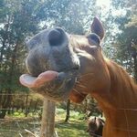 Brooklynarnold - @brooklynarnold451 - Instagram