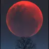brooklyn.ashton447 - @brooklyn.ashton447 - TikTok