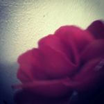 Brooklyn baird - @brook_lyn_bai_rd - Instagram