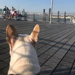 Bella - @brooklynbarker__ - Instagram