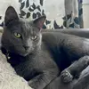 brooklynbarry94 - @brooklynbarry94 - TikTok
