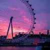 w_ rizzler123@ - @brooklyn_barry - TikTok