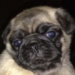 Brooklyn - @brooklyn_baxter14 - Instagram