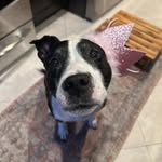 Magic Brooklyn Beans - @magicbrooklynbeans - Instagram
