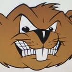 Brooklyn Beavers - @thebrooklynbeavers - Instagram