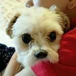 Brooklyn & Bentley - @brooklyn_bentley_ - Instagram