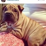 Brooklyn Bentley - @brooklynbenz - Instagram